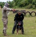 736 SFS hosts MWD Immersion Course with Guam Agencies