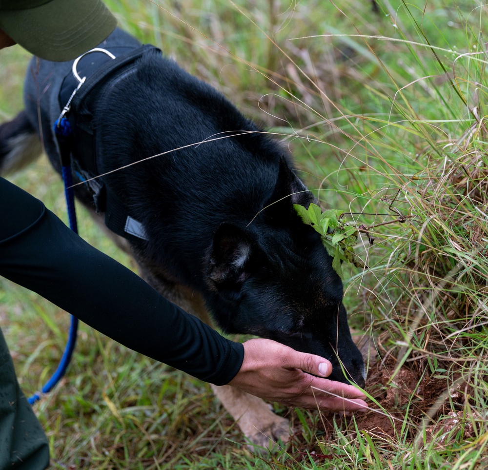 736 SFS hosts MWD Immersion Course with Guam Agencies