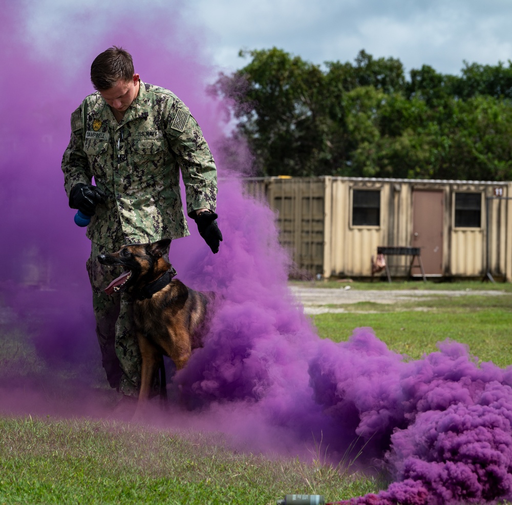 736 SFS hosts MWD Immersion Course with Guam Agencies