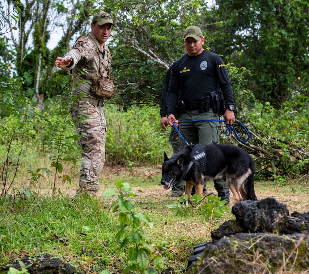 736 SFS hosts MWD Immersion Course with Guam Agencies