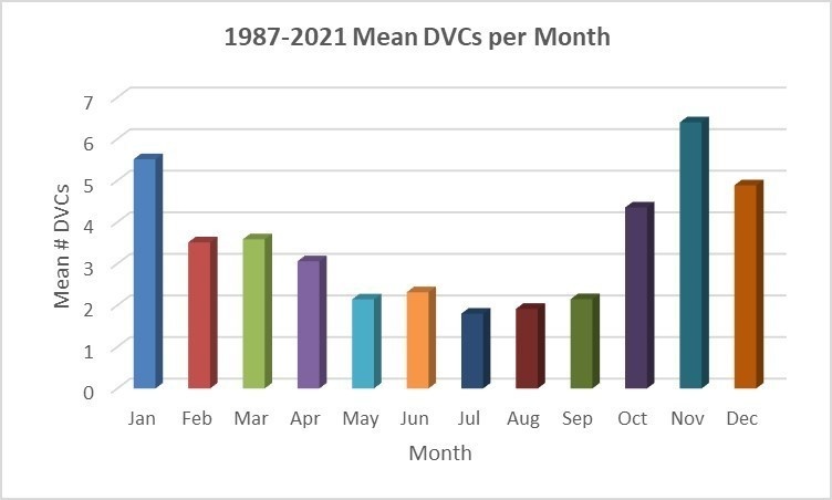 Caution urged as peak deer-vehicle collision season returns