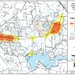 Caution urged as peak deer-vehicle collision season returns