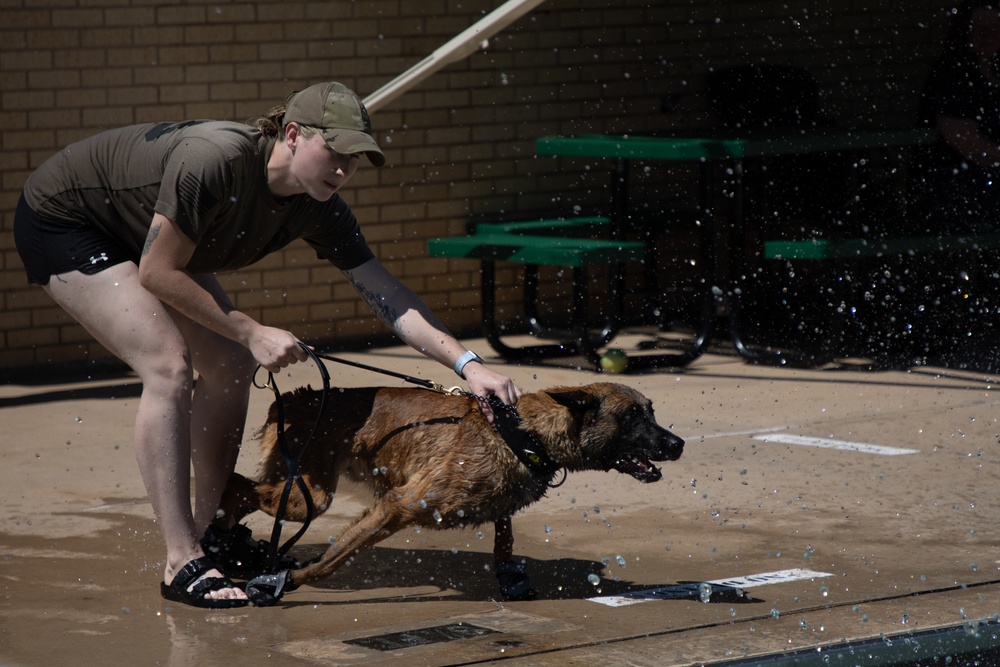 Tinker Military Working Dogs train for water