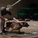 Tinker Military Working Dogs train for water