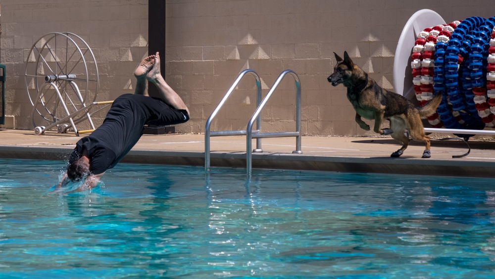 Tinker Military Working Dogs train for water