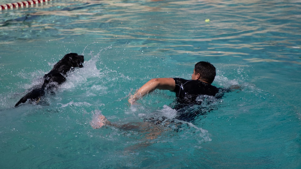 Tinker Military Working Dogs train for water