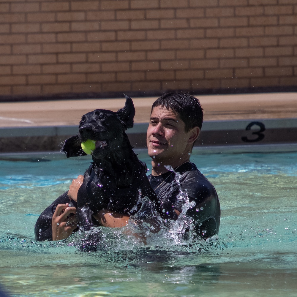 Tinker Military Working Dogs train for water