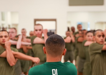 Getting Back to The Fight