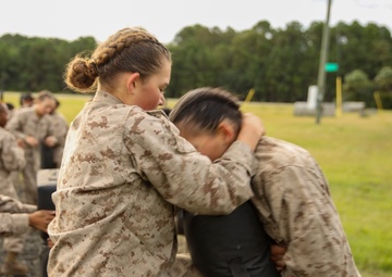 Bravo &amp; November Crucible