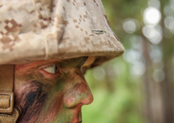 Bravo &amp; November Crucible