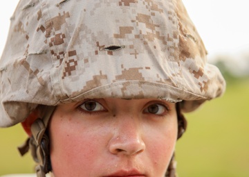 Bravo &amp; November Crucible