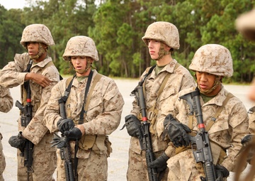 Bravo &amp; November Crucible