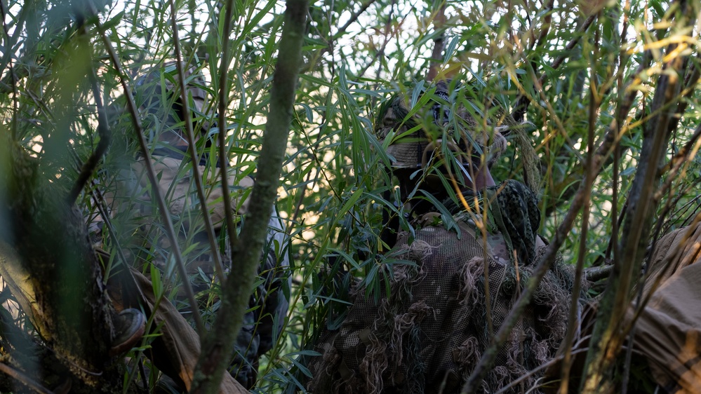 In the Shadows