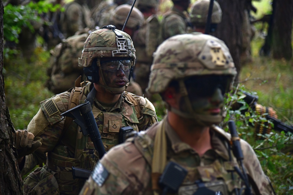 Ground Assault with Sky Soldiers Combined Arms Live Fire Exercise