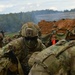 Ground Assault with Sky Soldiers Combined Arms Live Fire Exercise