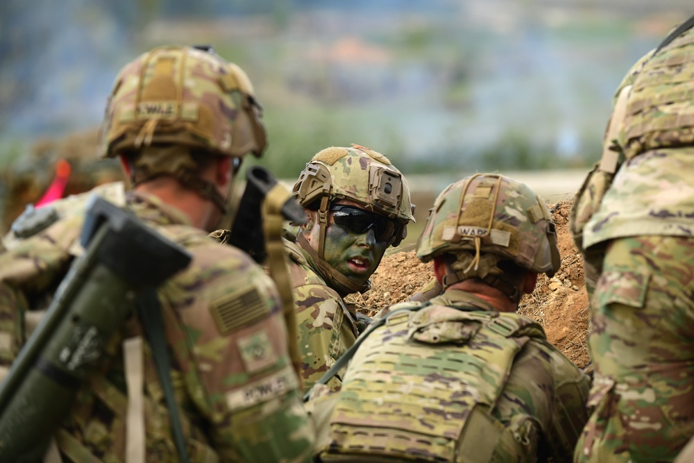 Ground Assault with Sky Soldiers Combined Arms Live Fire Exercise