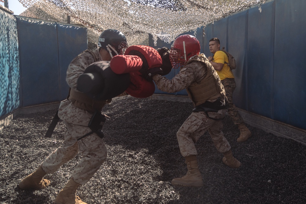 Hotel Company Pugil Sticks