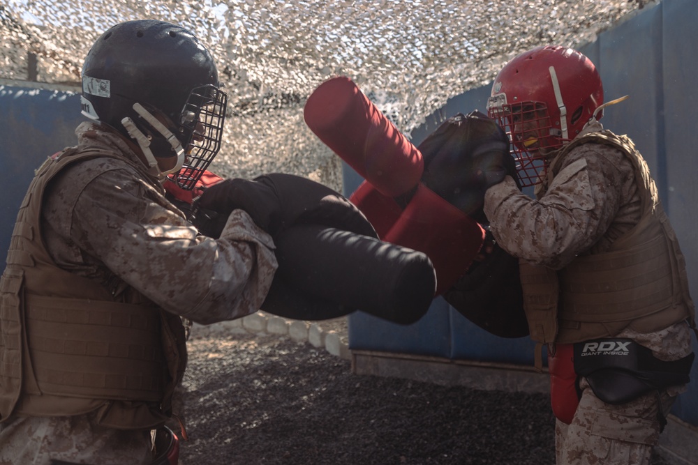 Hotel Company Pugil Sticks