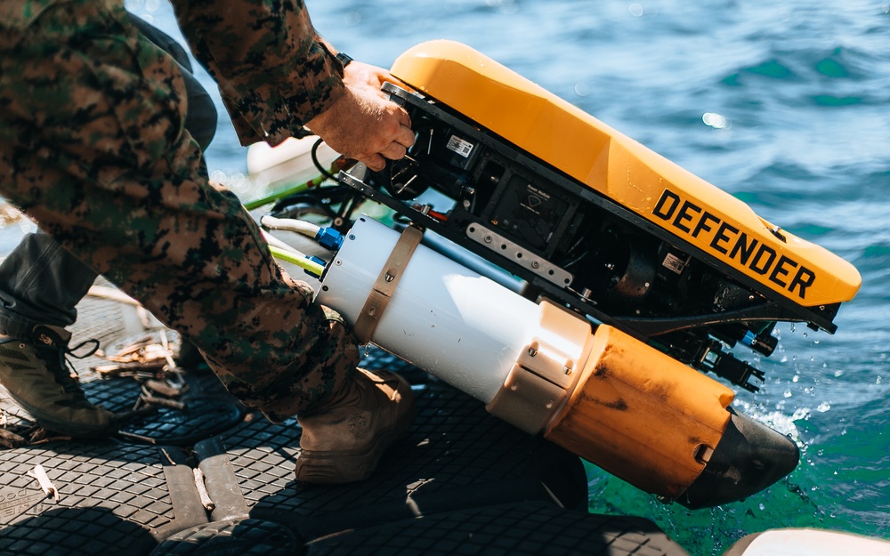 3d MLR EOD Marines Conduct Joint Training Exercise