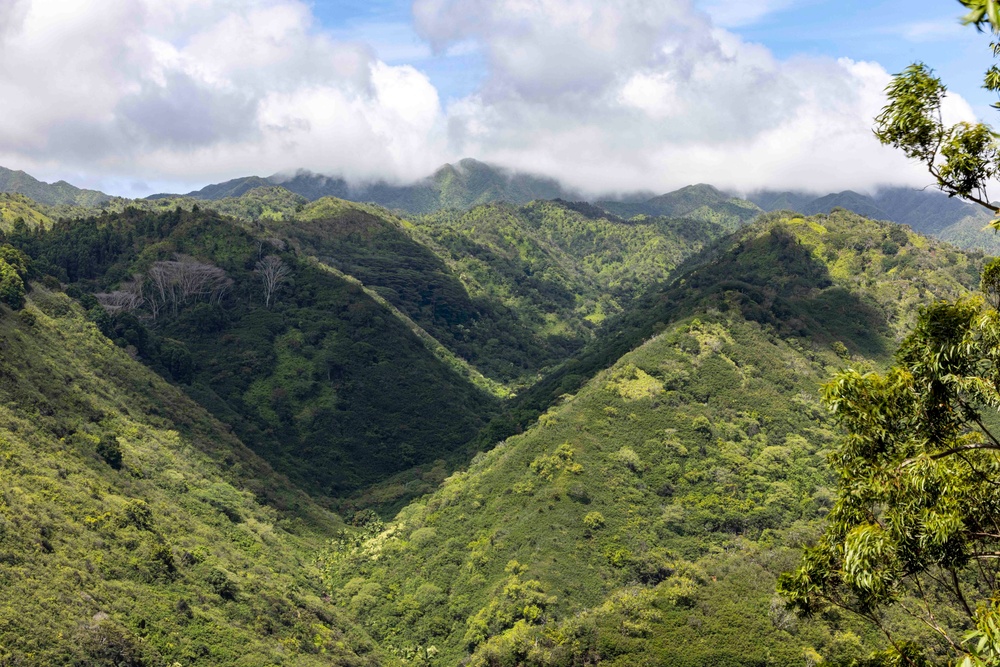 Navy Partners With State of Hawaii to Improve Waiawa Watershed