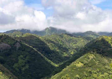 Navy Partners with State of Hawaii to Improve Waiawa Watershed
