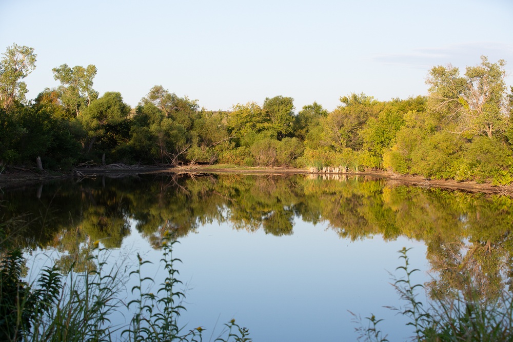 Jump Pond