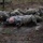 Army Best Squad Competition 2022
