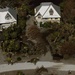 USCG overflight Sanibel, Fort Myers