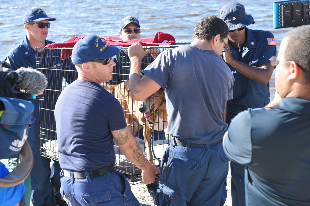 Coast Guard conducts wellness checks and facilitates access to transportation, food, and water after Hurricane Ian