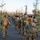 Soldiers from 1st Signal Brigade go on a ruck march for physical training in the morning.