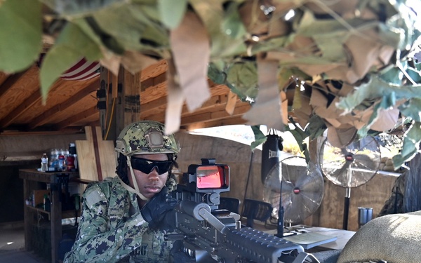 Coast Guardsmen from Port Security Unit 307 conduct operations in Guantanamo Bay Cuba