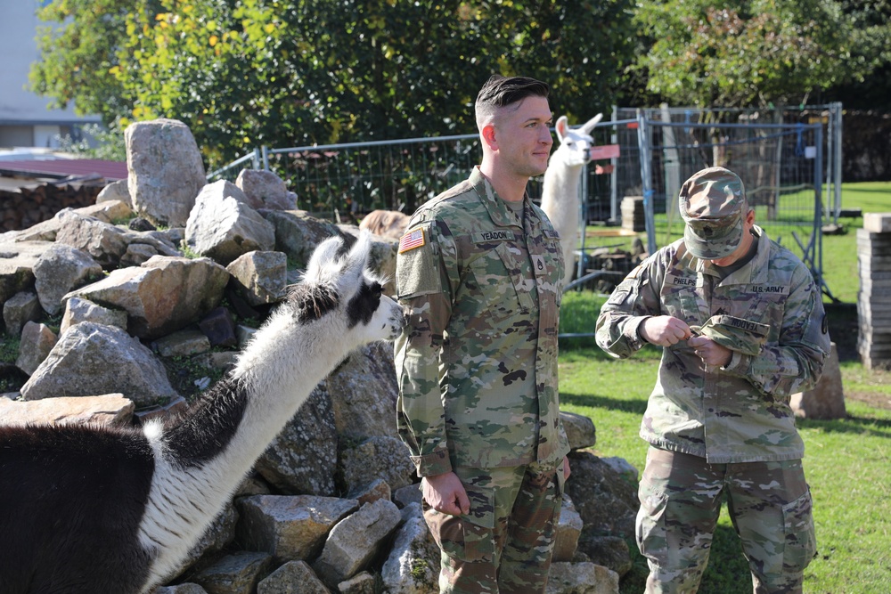 Promoted to Staff Sergeant amongst the Llamas