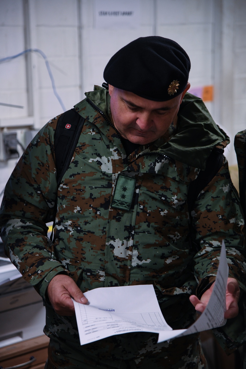 2nd Cavalry Regiment maintenance alongside with Macedonian allies