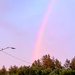 Rare rainbow forms over Fort McCoy in September 2022