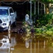 Flooded Street in a Local Florida Neighborhood