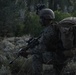 2nd Bn., 1st Marines learns mountain warfare in Bridgeport