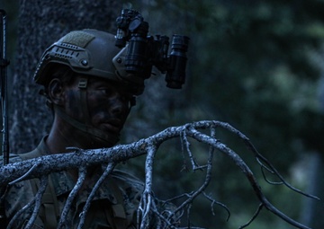 2nd Bn., 1st Marines learns mountain warfare in Bridgeport