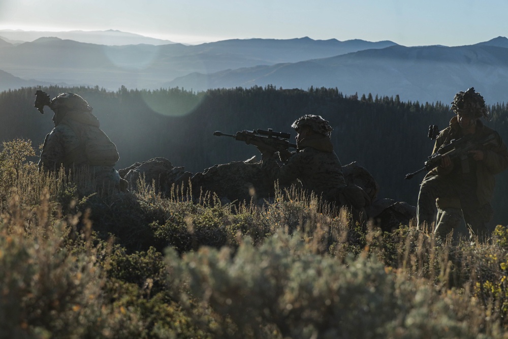 2nd Bn., 1st Marines learns mountain warfare in Bridgeport