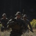 2nd Bn., 1st Marines rehearses gun drills in Bridgeport
