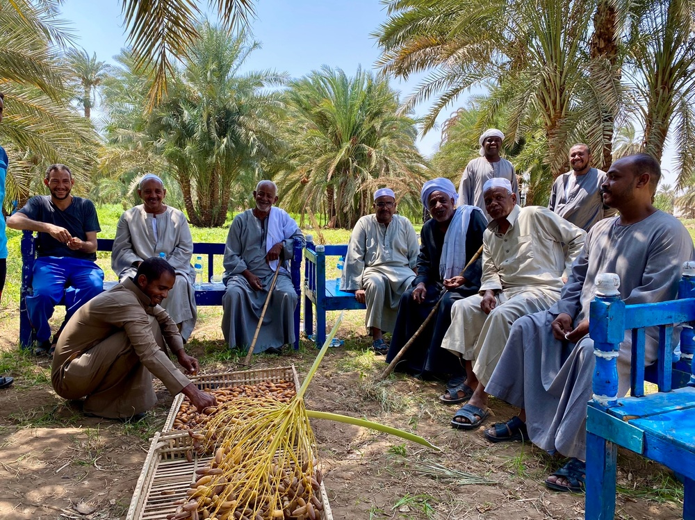 USAID Programs Support Egypt's Food Security