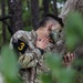 U.S. Army Best Squad Competition 2022