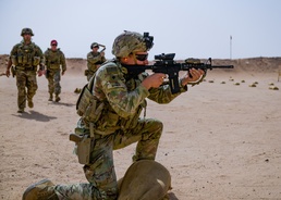 Joint Force firepower