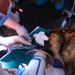 Military working dog undergoes root canal operation