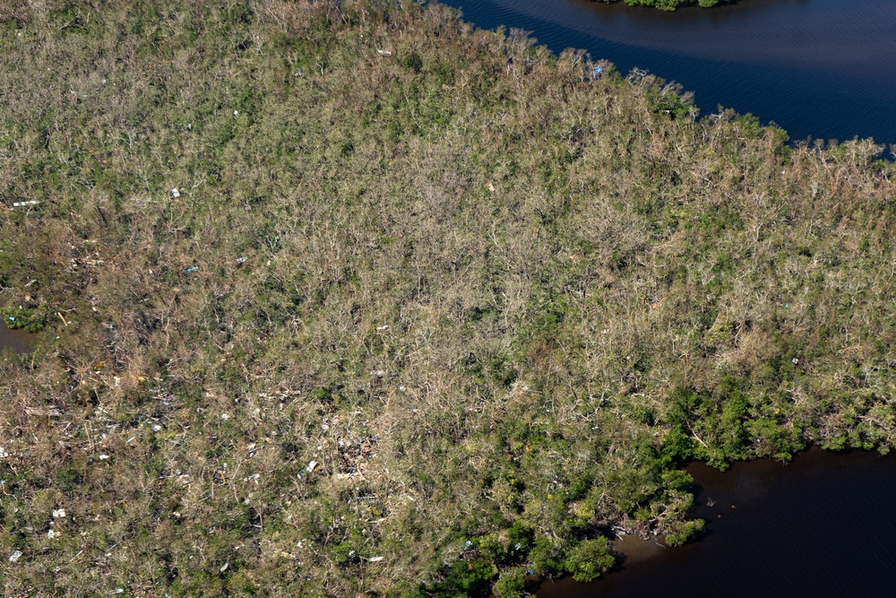 Hurricane Ian's Environmental Toll