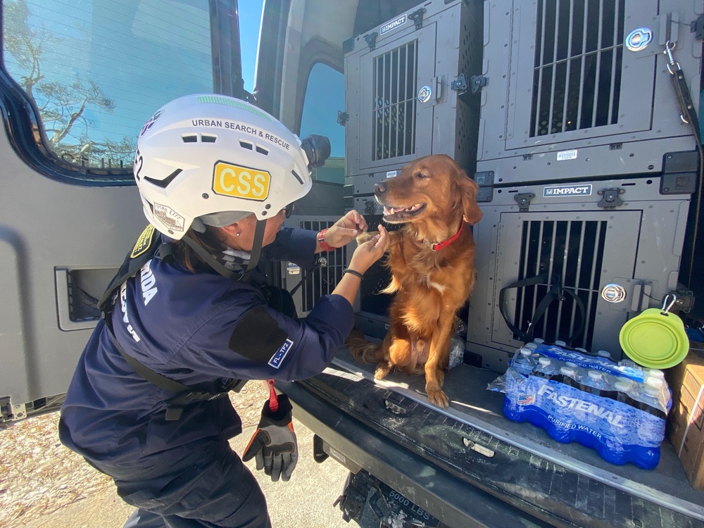 Pennsylvania Task Force 1 Conducts Search and Rescue