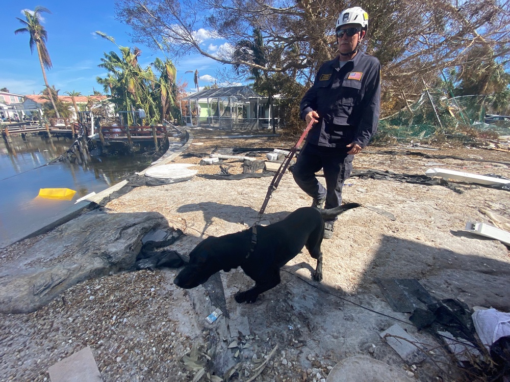 Pennsylvania Task Force 1 Conducts Search and Rescue