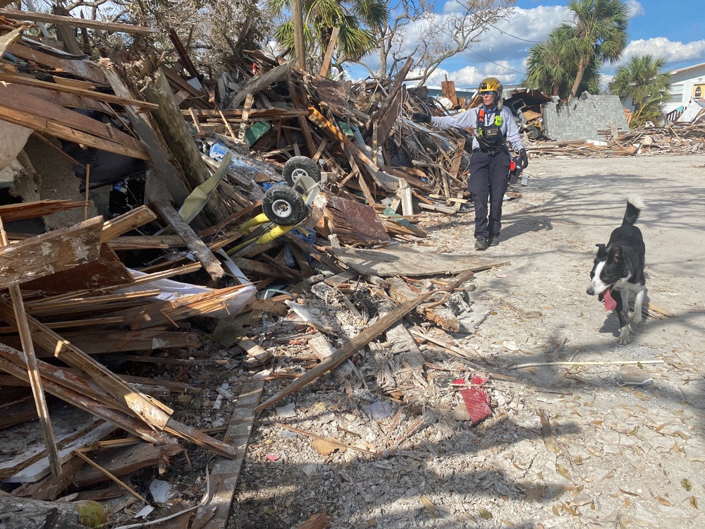 Pennsylvania Task Force 1 Conducts Search and Rescue