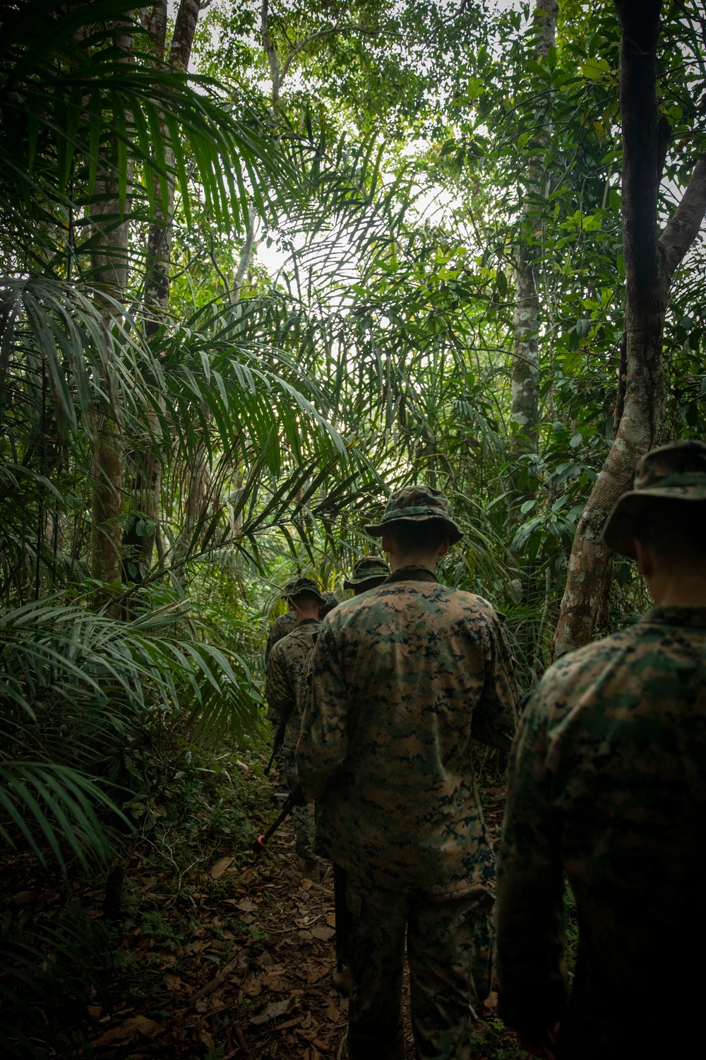 2/2 Marines Conduct Jungle Training in Brazil