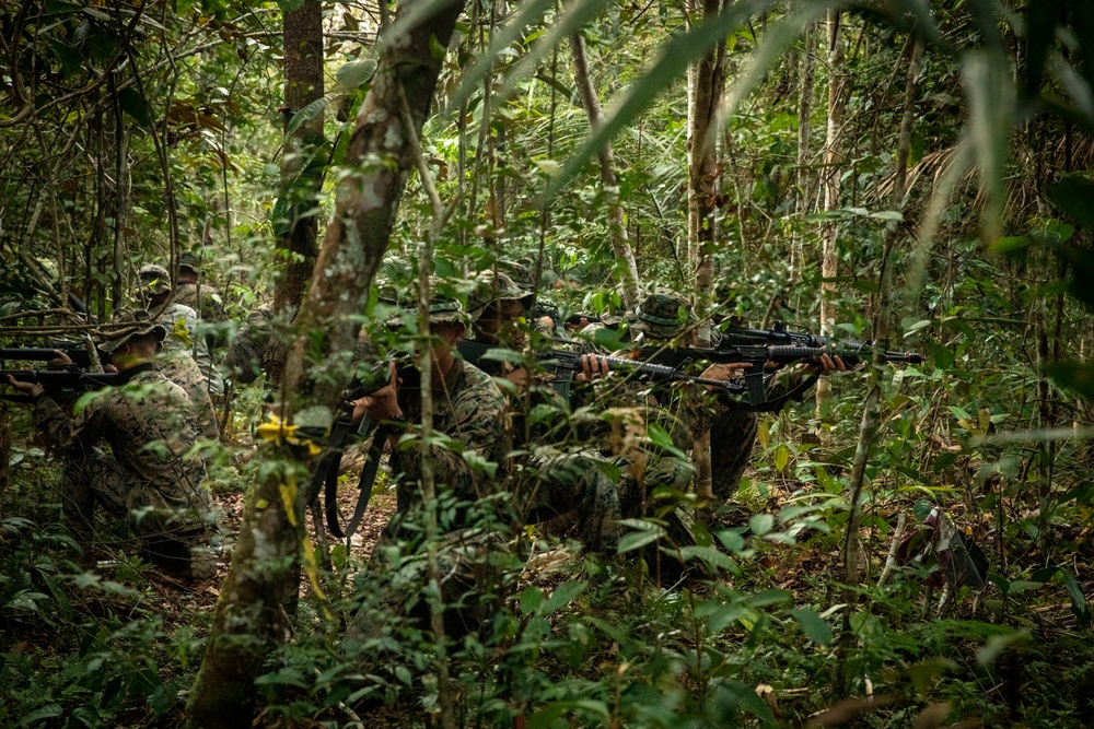 2/2 Marines Conduct Jungle Training in Brazil