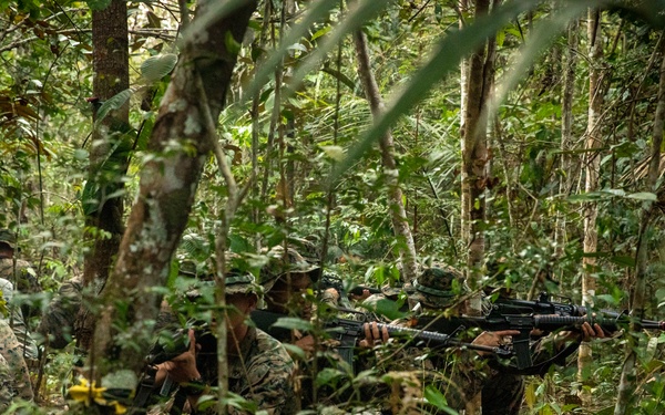2/2 Marines Conduct Jungle Training in Brazil
